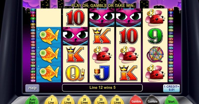 Miss Kitty slots online