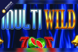 Multi wild slots online