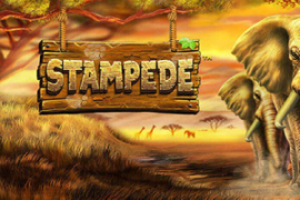 Stampede slots online