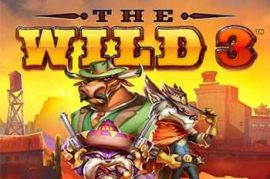 The Wild 3 slots online