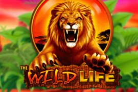 The wildlife slots online