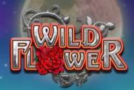 Wild flower slots online