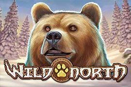 Wild north slots online