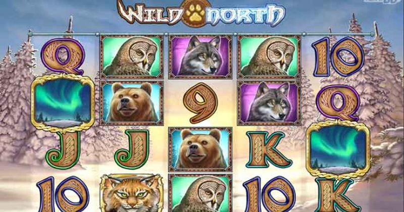 Wild north slots online