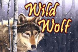 Wild wolf slots online