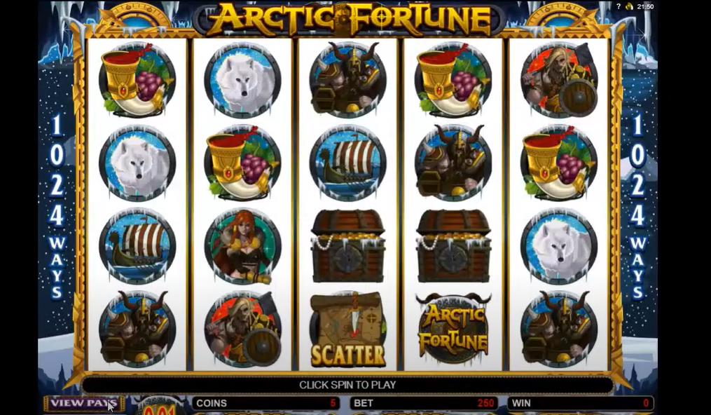 Arctic Fortune